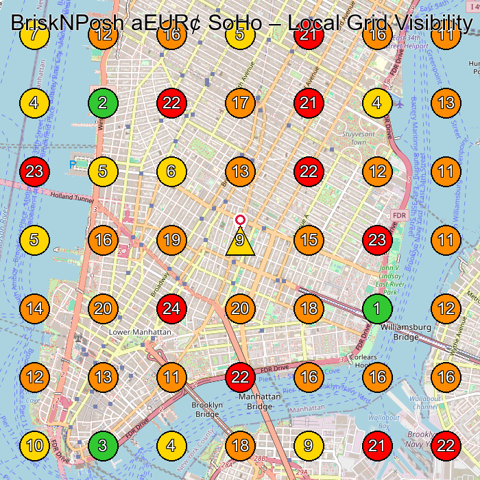 BriskNPosh aEUR¢ SoHo Spa And Health Club GeoGrid ranking map for New York NY